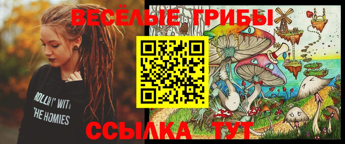 Псилоцибиновые грибы прущие грибы Кубинка