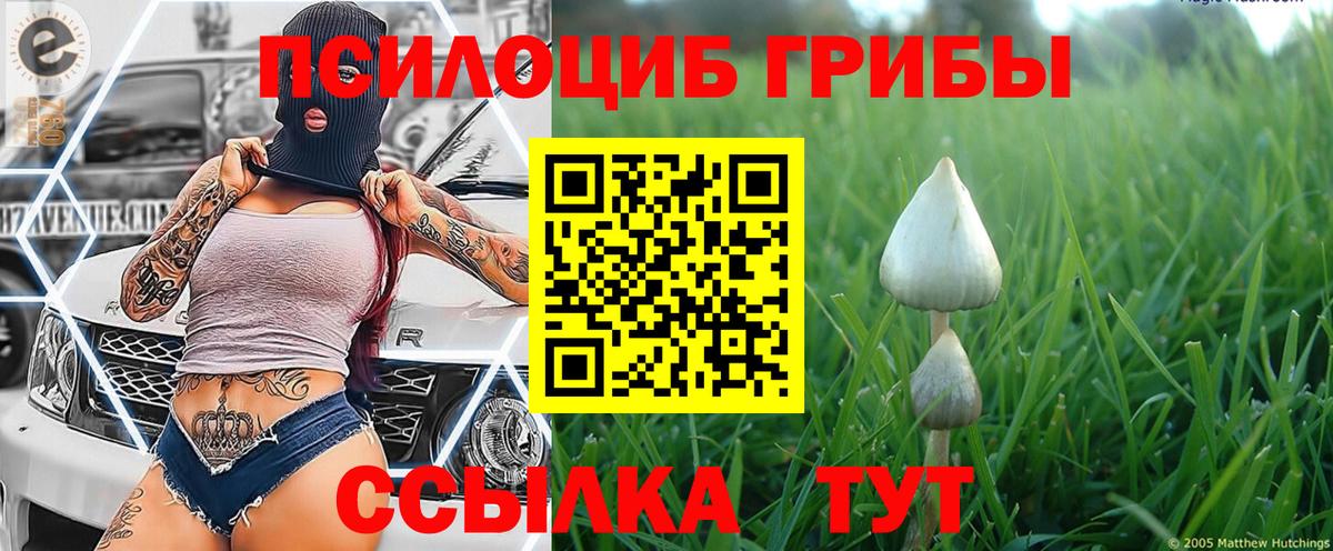 Кубинка  Псилоцибиновые грибы ЛСД  Псилоцибиновые грибы прущие грибы  Вход с VPN 